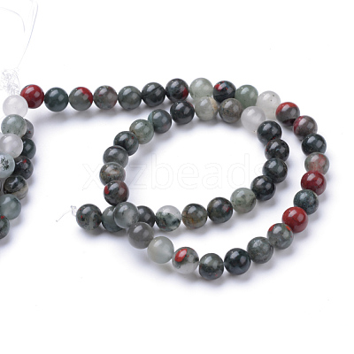 Natural African Bloodstone Beads Strands X-G-R345-8mm-50-1