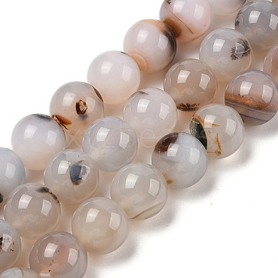 Natural Dendritic Agate Beads Strands G-A248-A07-07-1