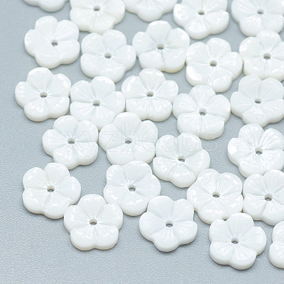 Freshwater Shell Beads SHEL-S275-015-1