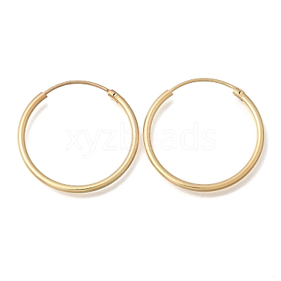 Brass Hoop Earrings EJEW-G474-01G-04-1