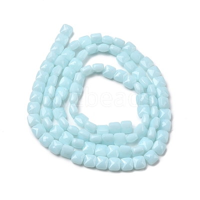 Opaque Glass Beads Strands GLAA-L050-C14-1