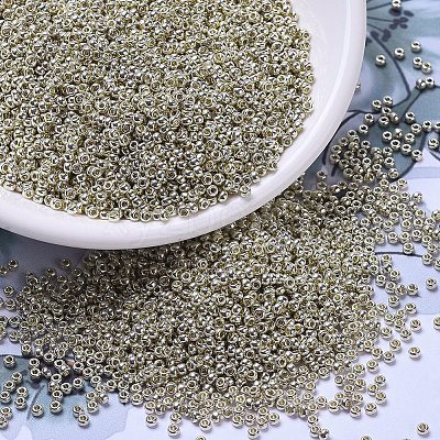 MIYUKI Round Rocailles Beads X-SEED-G007-RR4201-1