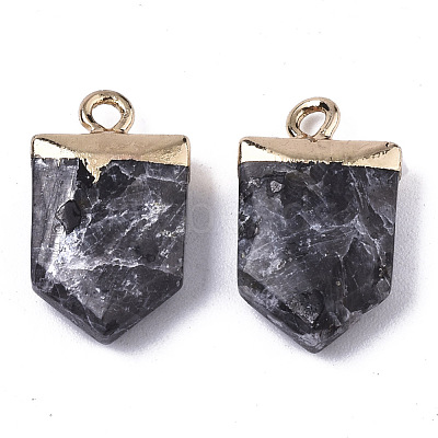 Natural Larvikite Pointed Pendants X-G-N326-34B-1