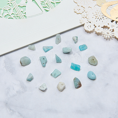 Natural Amazonite Chip Beads G-CJ0001-21-1