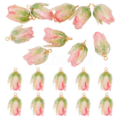 10Pcs Transparent Acrylic Pendants SACR-TA0001-66B-1
