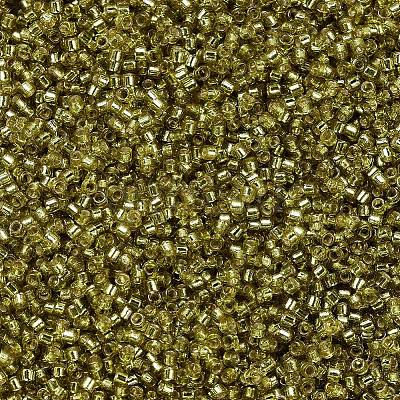 MIYUKI Delica Beads SEED-MY11-DB2164-1