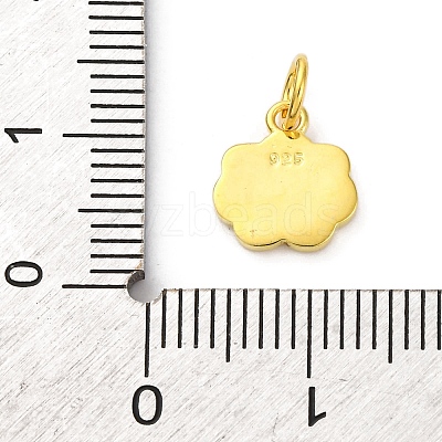 925 Sterling Silver White and Pink Enamel Smiling Face Cloud Charms STER-D303-03G-1