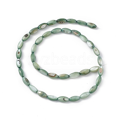 Natural Freshwater Shell Dyed Beads Strands SHEL-M018-13-11-1