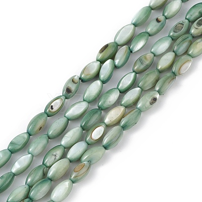 Natural Freshwater Shell Dyed Beads Strands SHEL-M018-13-11-1