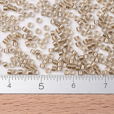 MIYUKI Delica Beads X-SEED-J020-DB0907-1