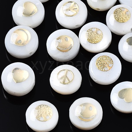 Freshwater Shell Beads SHEL-T018-17-1