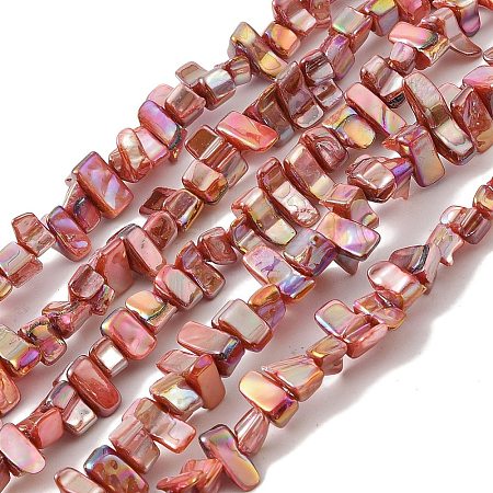 Natural Freshwater Shell Beads Strands BSHE-H018-07B-1