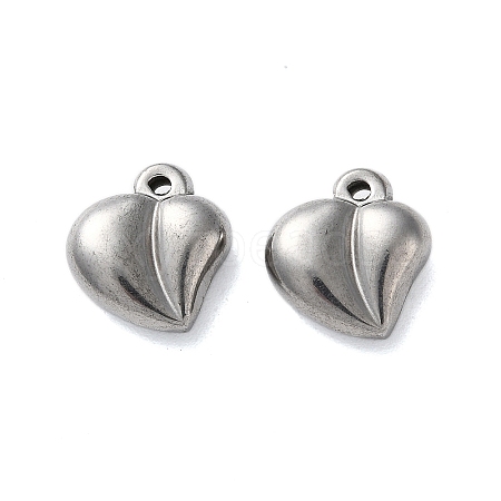 Non-Tarnish 304 Stainless Steel Pendants STAS-G338-05P-1