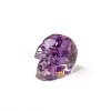 Resin Skull Display Decoration PW-WG10352-07-1