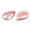 Natural Turbo Cornulus/Top Shells Cabochons SSHEL-N003-157B-4