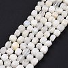 Natural Rainbow Moonstone Beads Strands G-K323-11-3