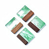 Transparent Resin & Walnut Wood Pendants RESI-T035-31-2