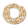 Natural Trochid Shell/Trochus Shell Beads Strands SSHEL-N034-77-B01-2