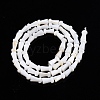 Natural Freshwater Shell Beads Strands SHEL-N026-213-3