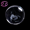 Inner Carving Constellation Glass Crystal Ball Diaplay Decoration PW-WG22452-05-1