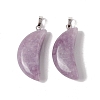 Natural Lepidolite Pendants G-Z022-03B-2