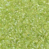 MIYUKI Delica Beads SEED-X0054-DB0174-3