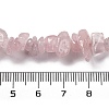 Natural Rose Quartz Beads Strands G-O049-B-36-6