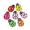 Transparent Resin Insect Decoden Cabochons CRES-I035-03-1