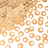 1071Pcs 150G Ornament Accessories PET Paillette/Sequins Pendants PVC-CY0001-07B-1
