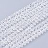 Faceted Glass Beads Strands X-GLAA-A036-F22-1
