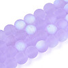 Frosted Transparent Glass Beads Strands LS-GLAA-T032-T10mm-MBB01-1