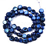 Natural Freshwater Shell Beads Strands SHEL-S276-110B-02-2