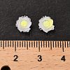 Luminous Resin Decoden Cabochons RESI-K036-06G-4