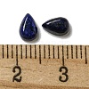 Dyed Natural Lapis Lazuli Cabochons G-Q173-02A-03-3