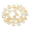 Natural Citrine Beads Strands G-Z040-A08-01-2