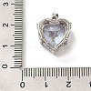 Platinum Brass Micro Pave Cubic Zirconia Pendants KK-C072-37P-02-3