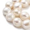 Natural Cultured Freshwater Pearl Beads Strands PEAR-P062-35-4