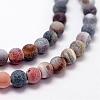 Frosted Natural Weathered Agate Beads Strands G-F367-6mm-07-3