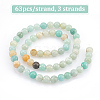 GOMAKERER 3 Strands Natural Flower Amazonite Beads Strands G-GO0001-13-3