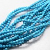 Natural Howlite Round Beads Strands TURQ-L017-8mm-02-2