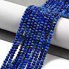 Natural Lapis Lazuli Dyed Beads Strands G-G140-B03-04-2