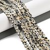 Natural Dalmatian Jasper Beads Strands G-M403-A31-02-2