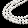 Natural Howlite Beads Strands G-E608-A01-C-4