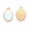 Alloy Enamel Charms ENAM-S121-055A-1