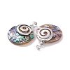 Natural Paua Shell Pendants KK-F751-C03-01-3