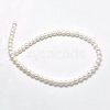 Natural Cultured Freshwater Pearl Beads Strands PEAR-F007-28-01-2