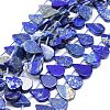 Natural Lapis Lazuli Beads Strands G-E569-R10-1