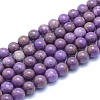 Natural Lepidolite/Purple Mica Stone Beads Strands G-L552H-09D-1