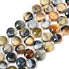 Natural Tiger Eye Beads Strands G-F812-C09-01A-3