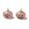 Halloween Opaque Resin Charms RESI-E018-01D-2